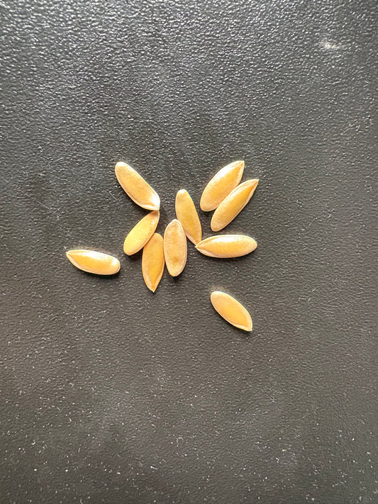 Honey Dew Seeds 10pk