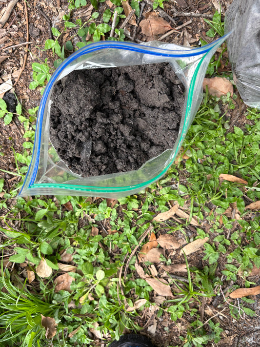 Tampa Compost Supersoil
