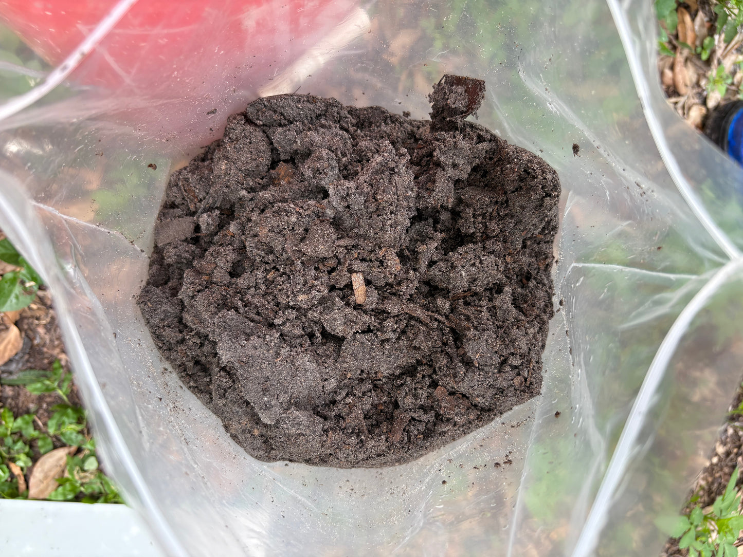 Tampa Compost Supersoil