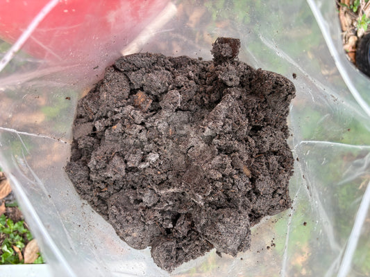 Tampa Compost Supersoil