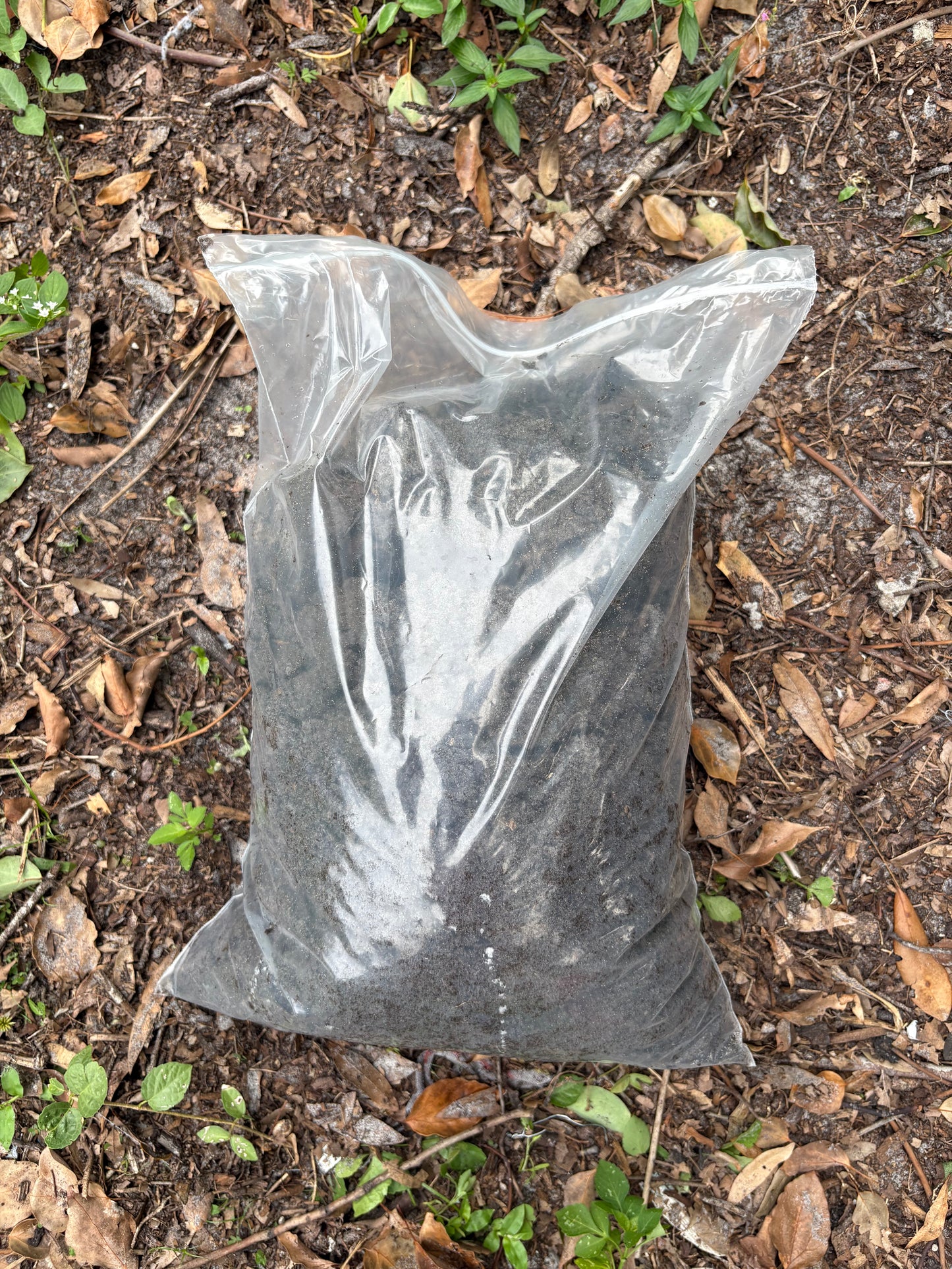 Tampa Compost Supersoil